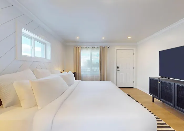 The Surf Club